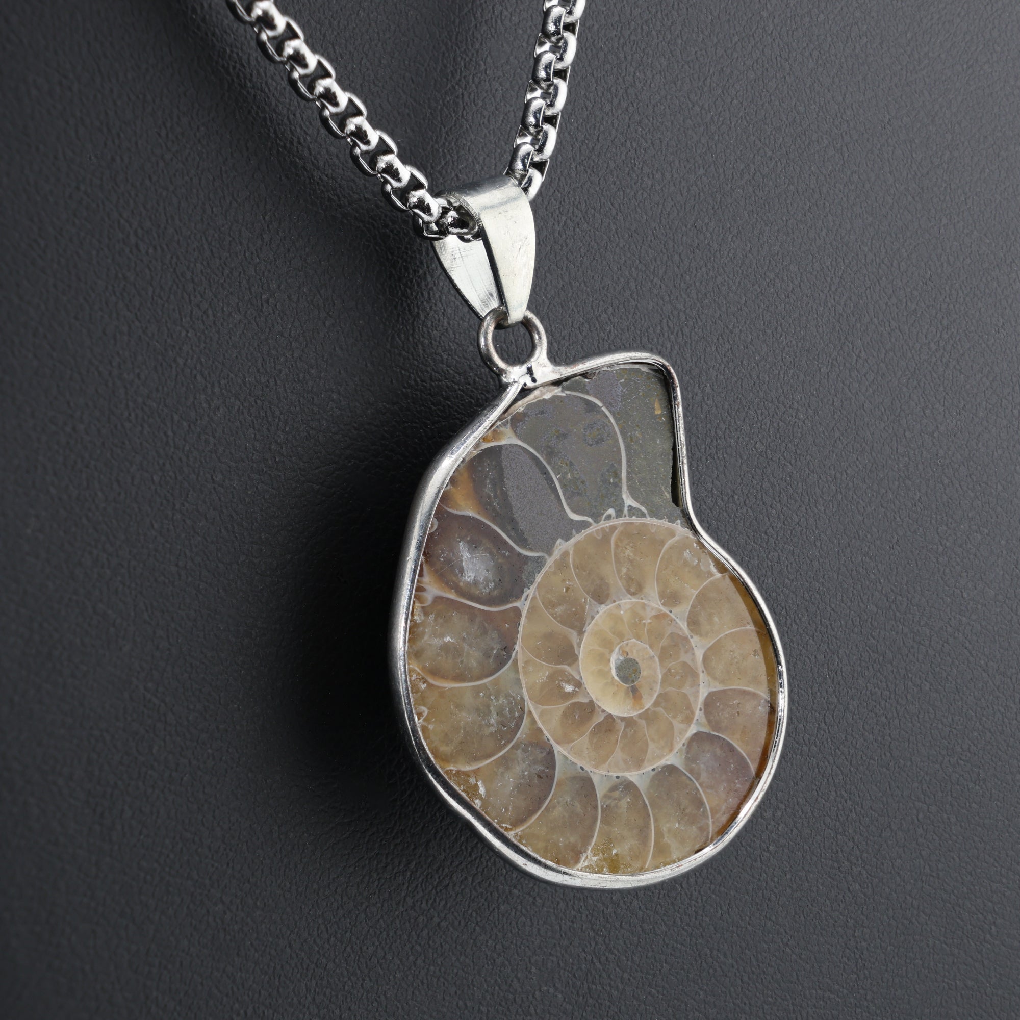 Eternal Spiral Ammonite